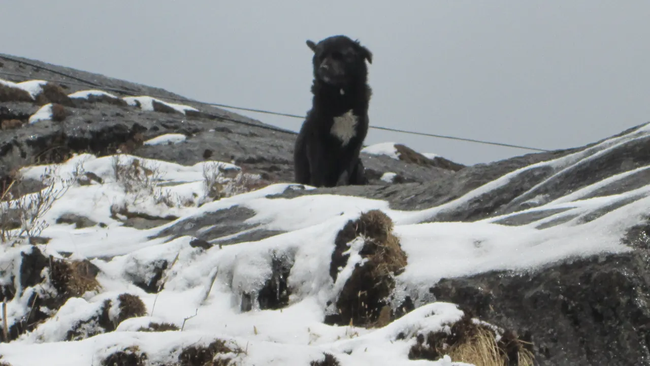 Sikkim Full Circuit